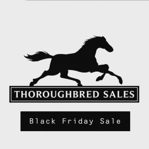 Black Friday Sale - Thoroughbred Sales