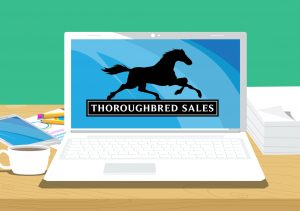 Thoroughbred Sales