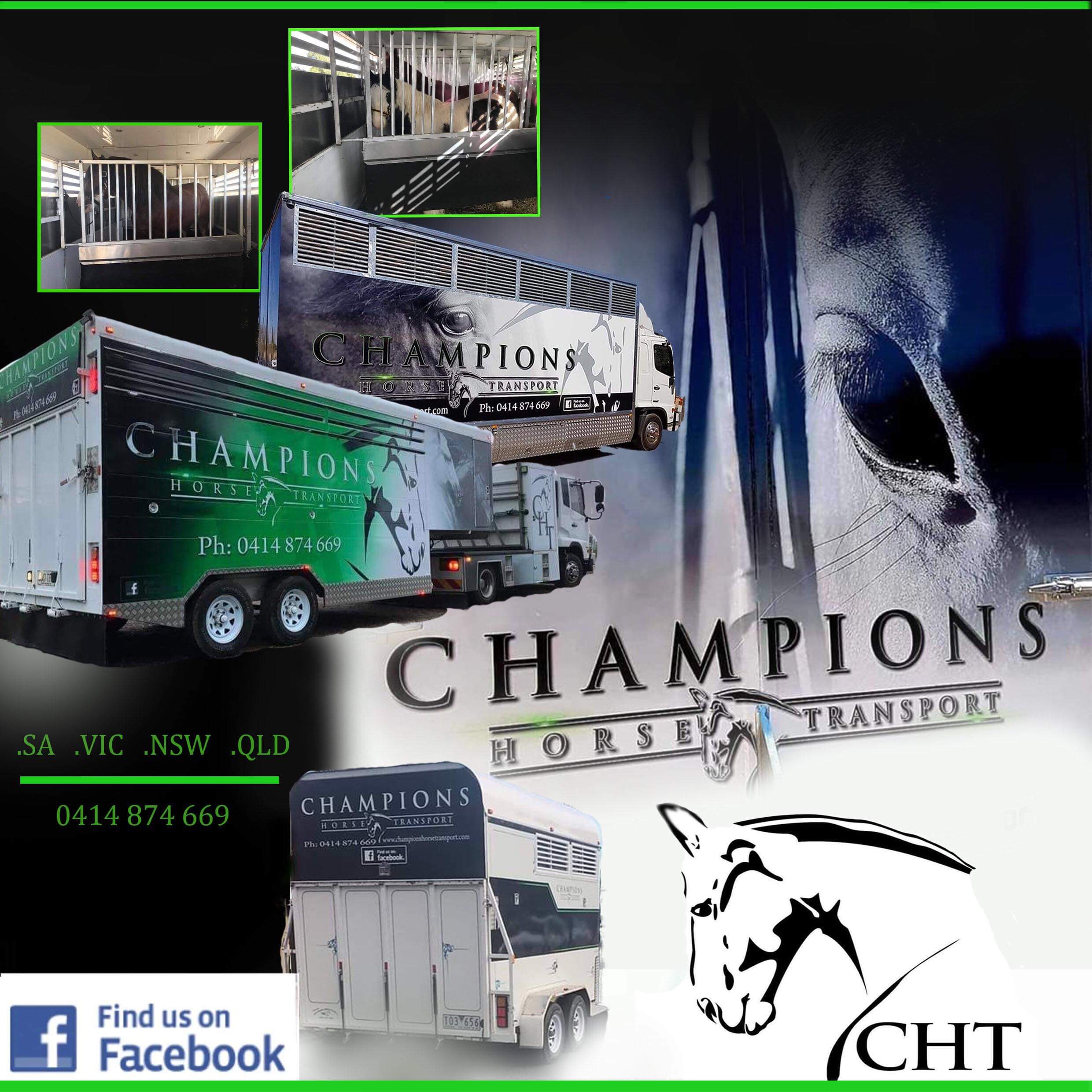 Champions Horse Transport