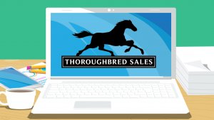 Thoroughbred Sales Logo