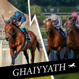 Gaiyyath  - Thoroughbred Sales