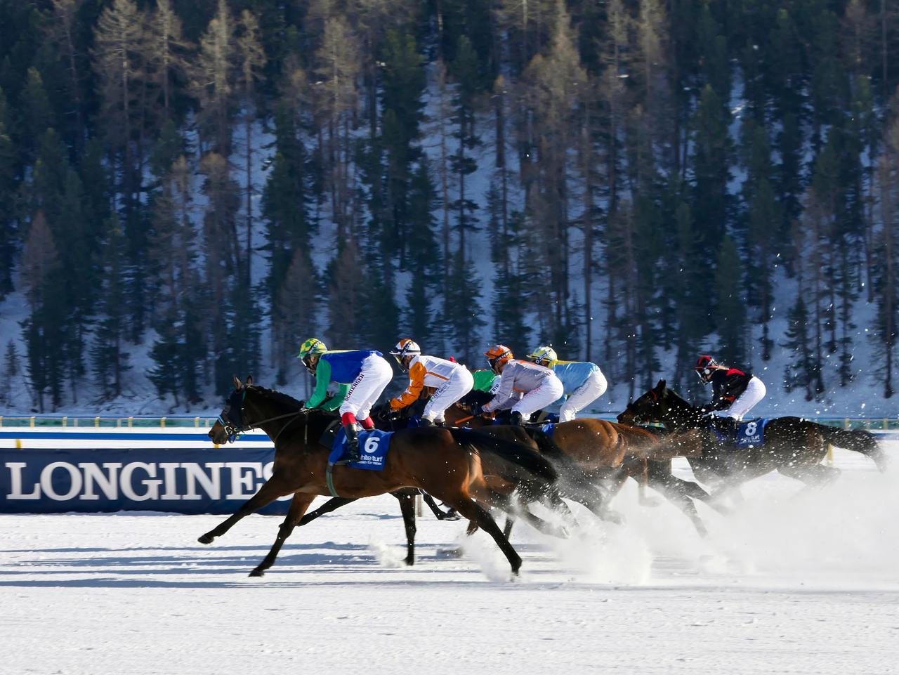 Horse Racing In Snow!