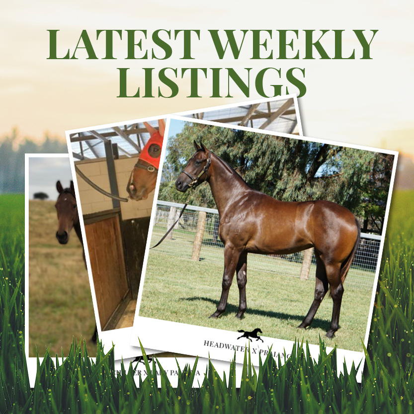 Latest Weekly Listings – Artie Schiller, Headwater and Smart Missile