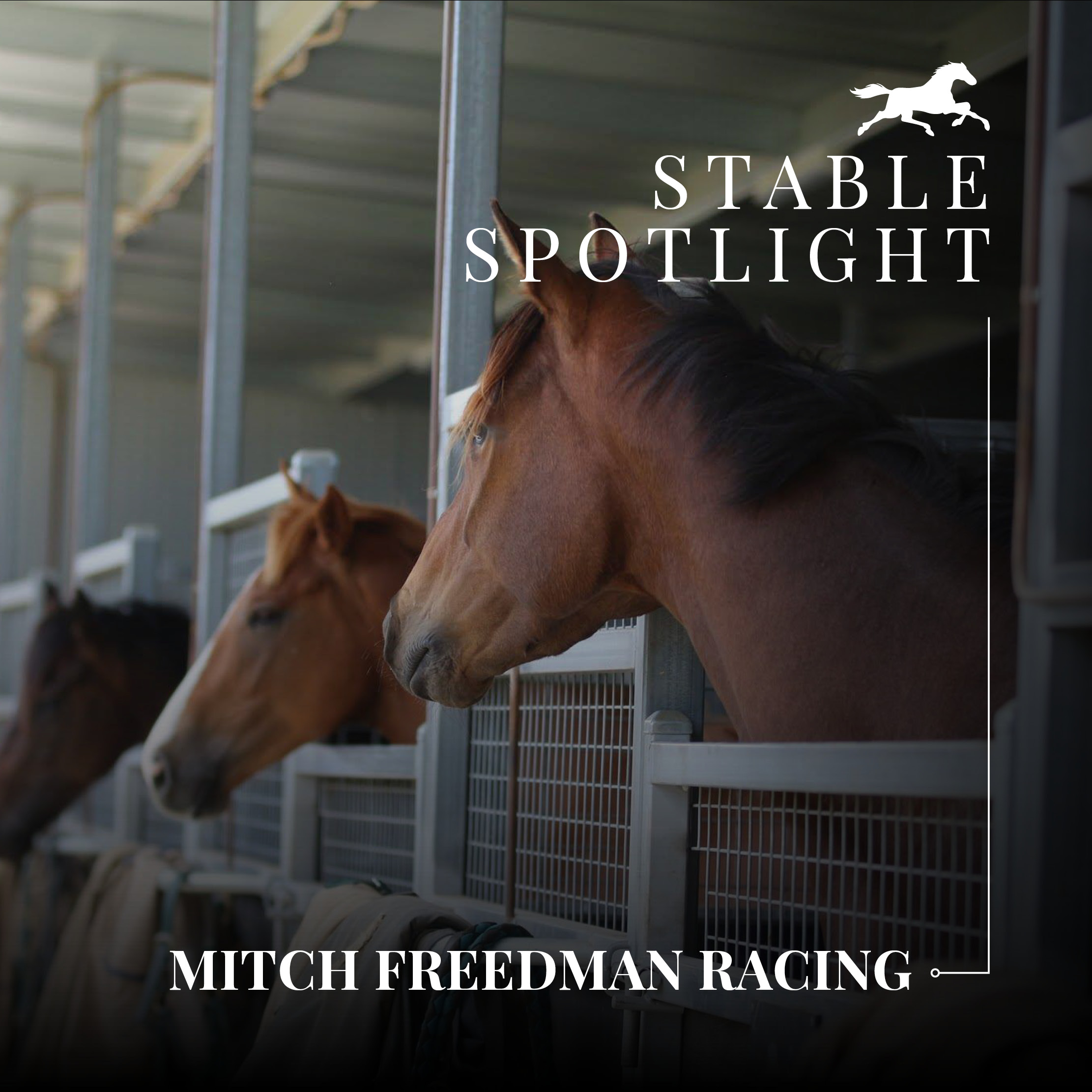 Stable Spotlight – Mitch Freedman Racing