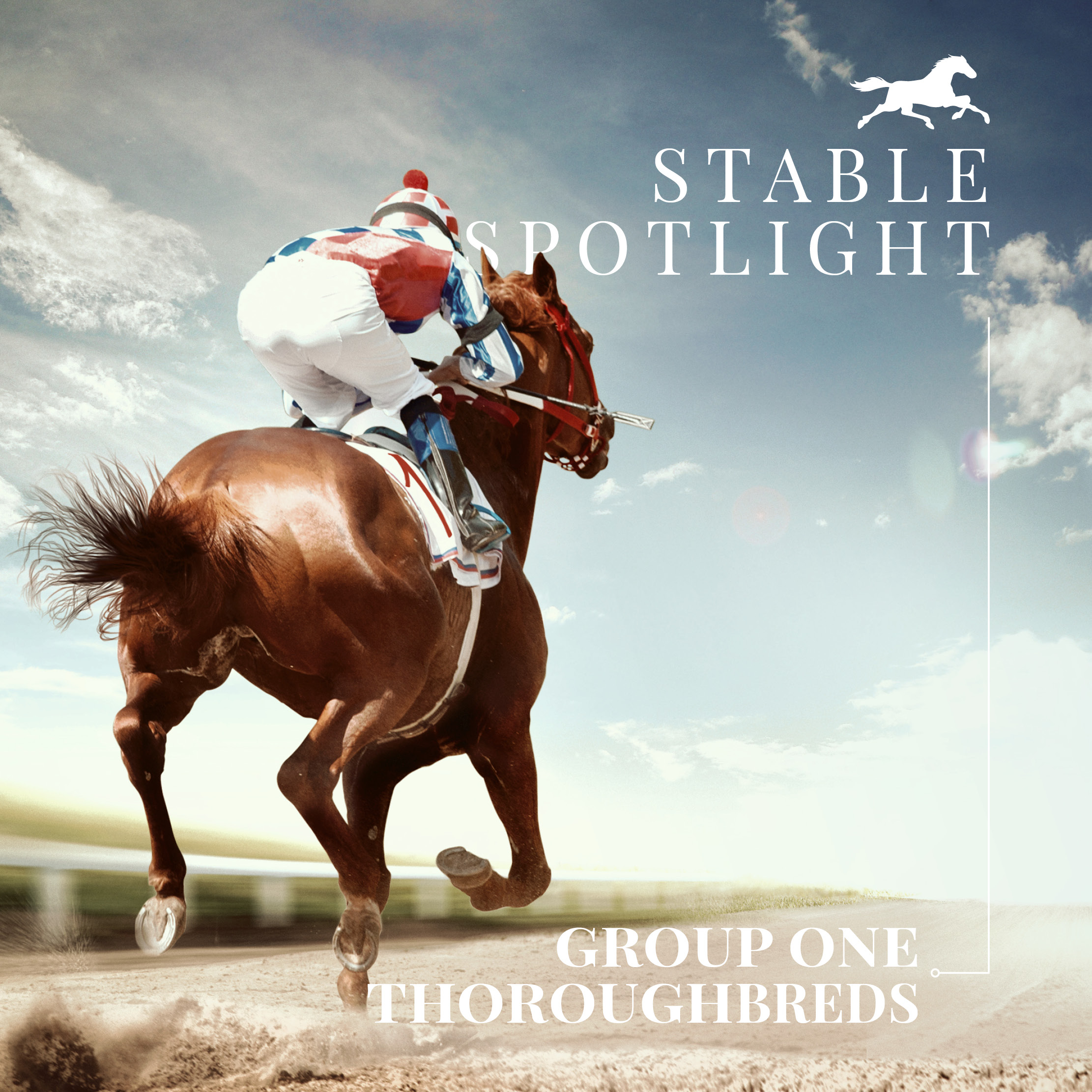 Stable Spotlight – Group One Thoroughbreds