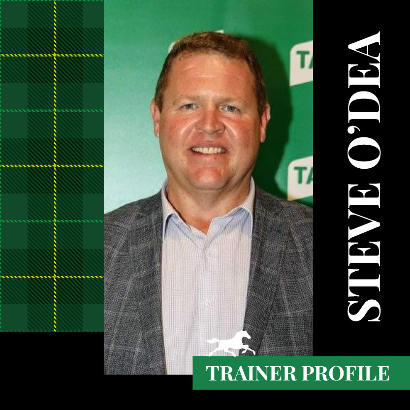 Trainer Profile – Steve O’Dea