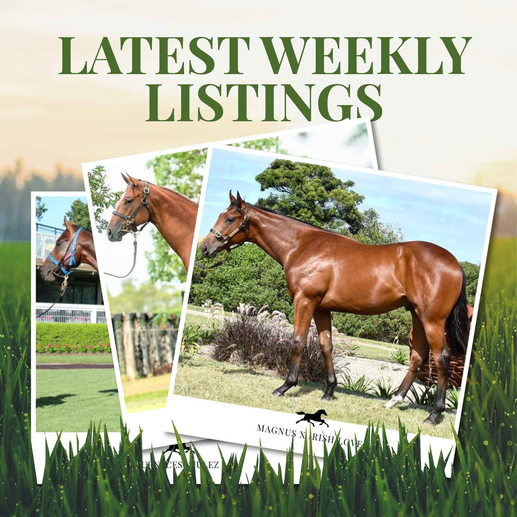 Latest Weekly Listings – Furnaces, Winning Rupert and Magnus