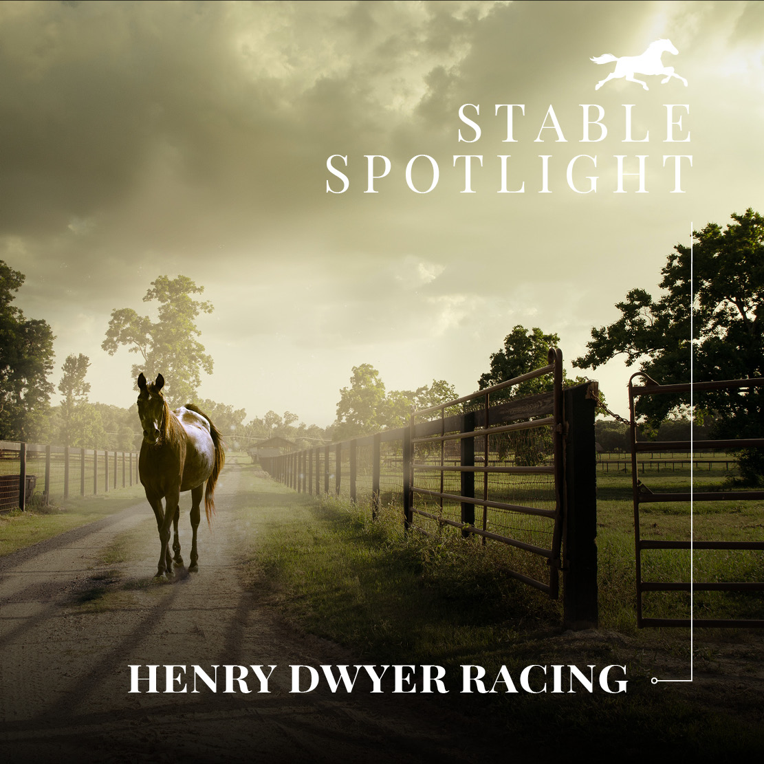 Stable Spotlight – Henry Dwyer Racing