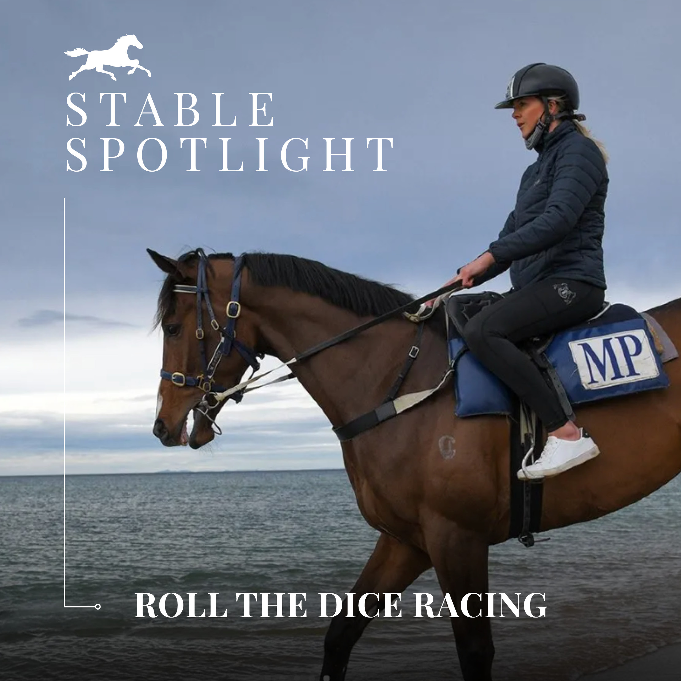 Stable Spotlight – Roll The Dice Racing