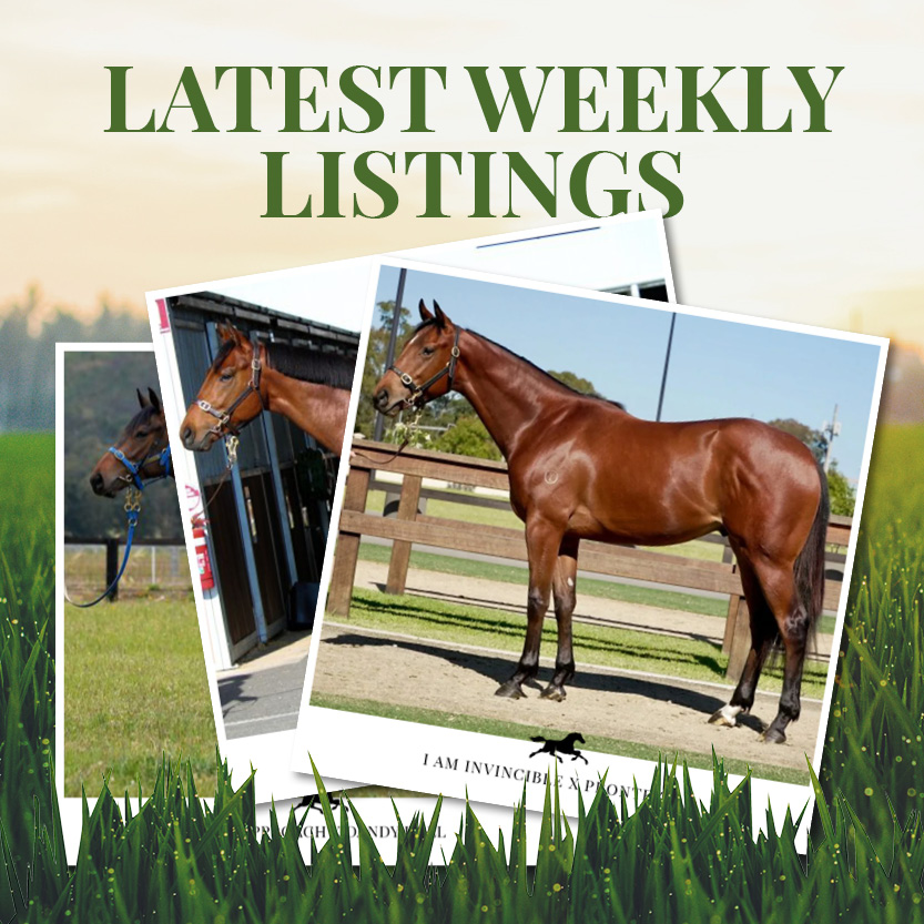 Latest Weekly Listings – Dawn Approach, Epaulette and I Am Invincible