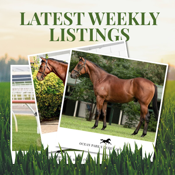 Latest Weekly Listings – Zacinto, Siyouni and Ocean Park