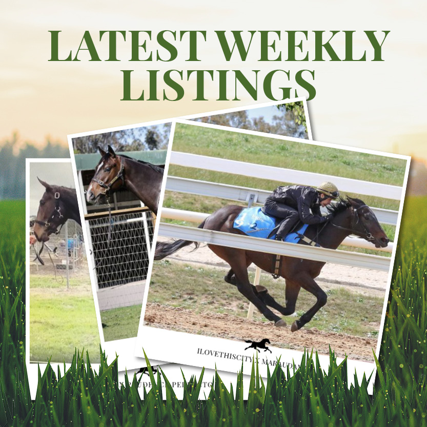 Latest Weekly Listings – ILovethiscity, Starcraft and Frosted