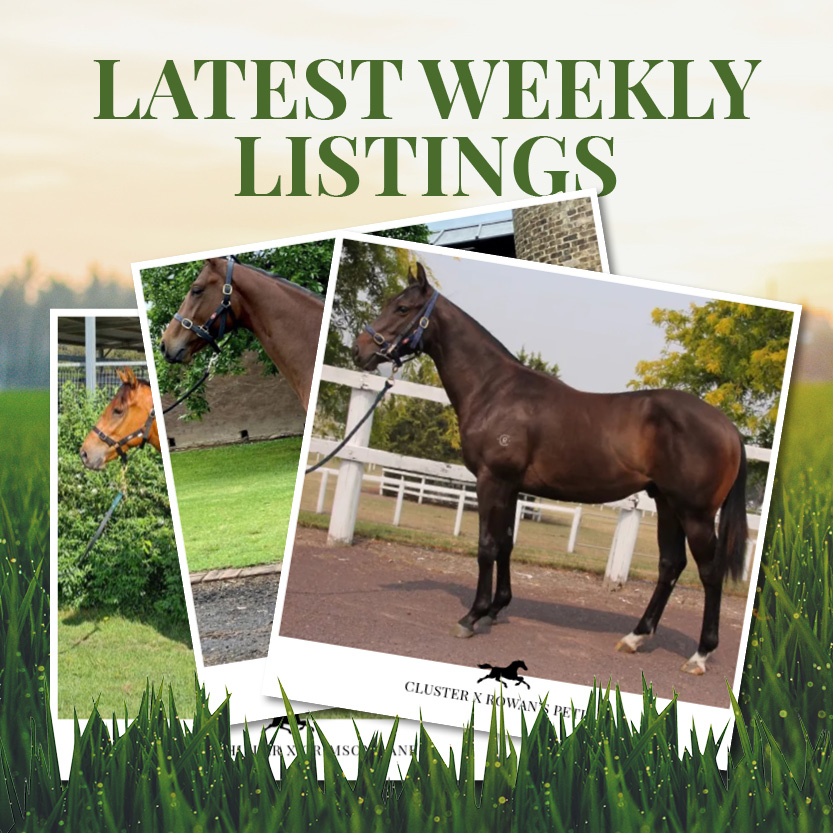Latest Weekly Listings – Cluster, Capitalist and Artie Schiller