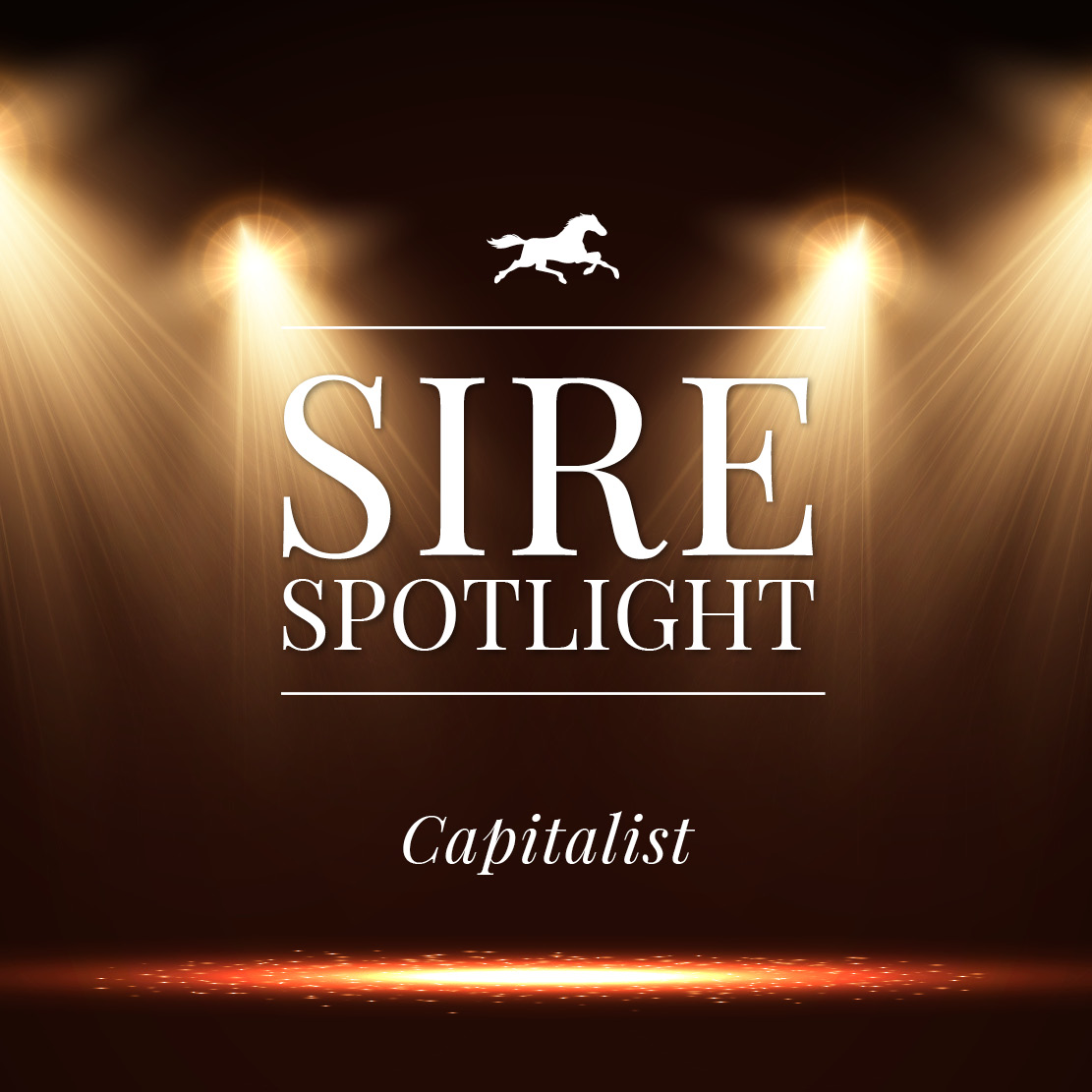 Sire Spotlight – Capitalist