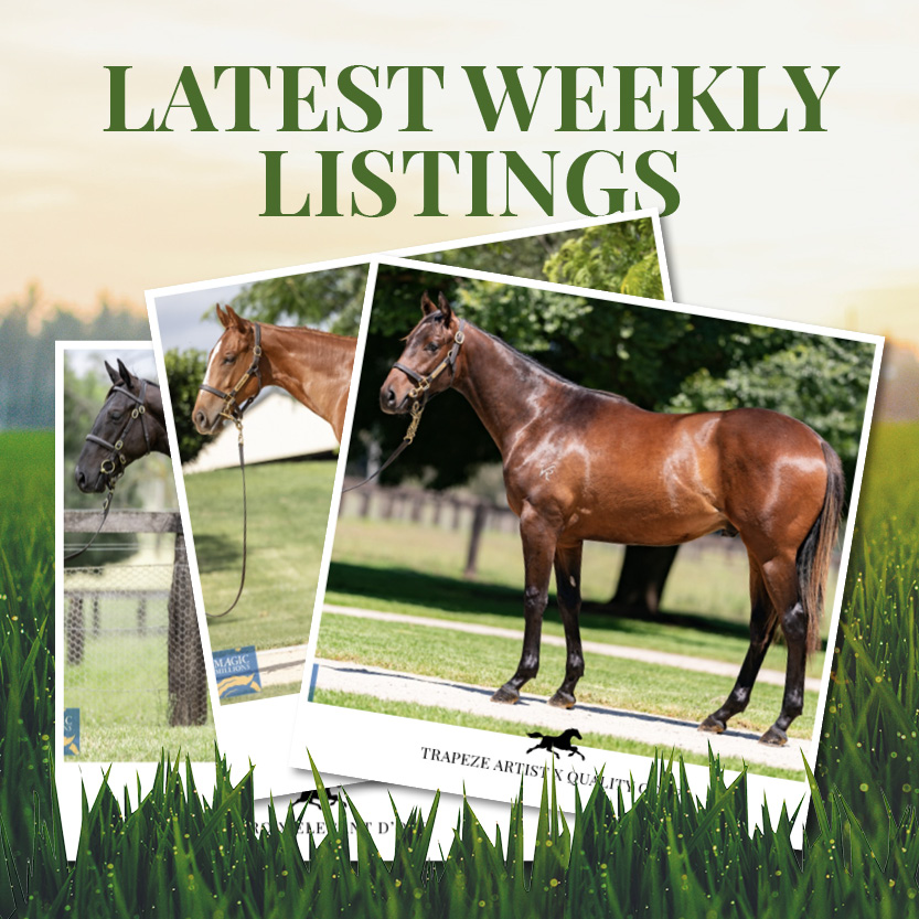 Latest Weekly Listings – Trapeze Artist, Capitalist and Lonhro