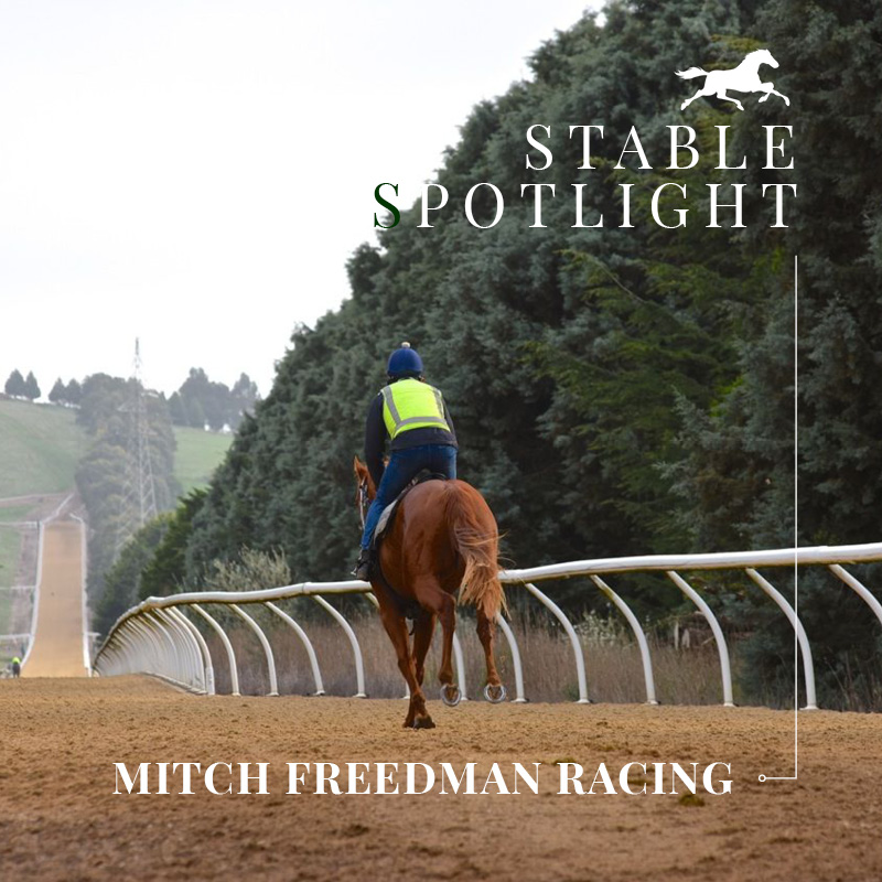 Stable Spotlight – Mitch Freedman Racing