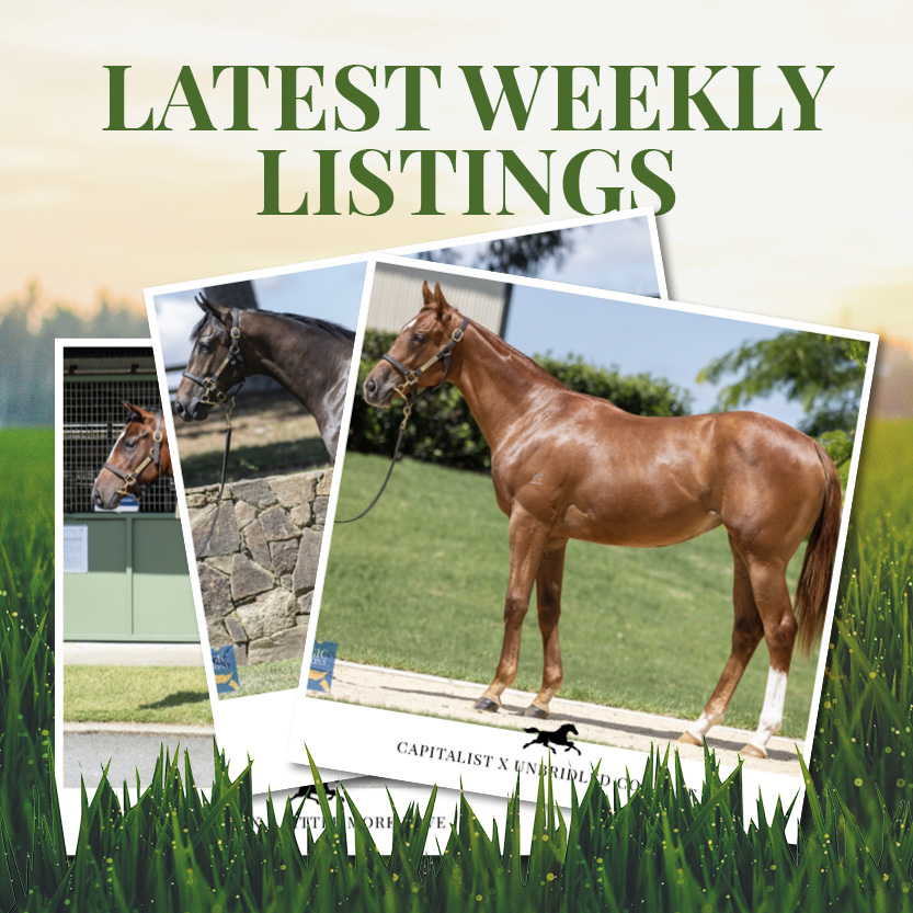 Latest Weekly Listings – Capitalist, Rubick and Ready to Runs