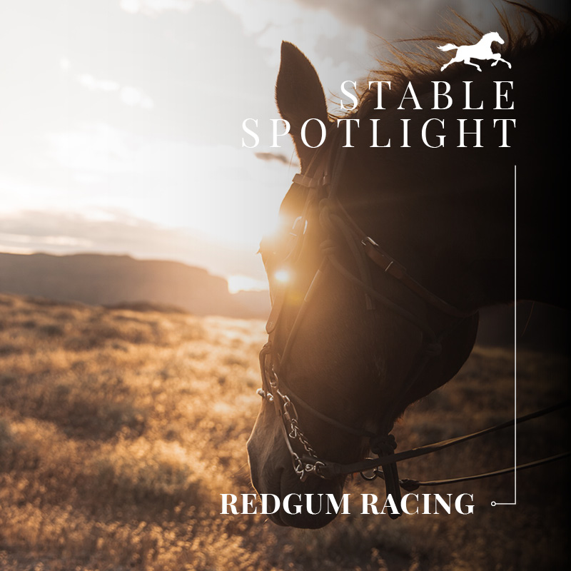 Stable Spotlight – Redgum Racing