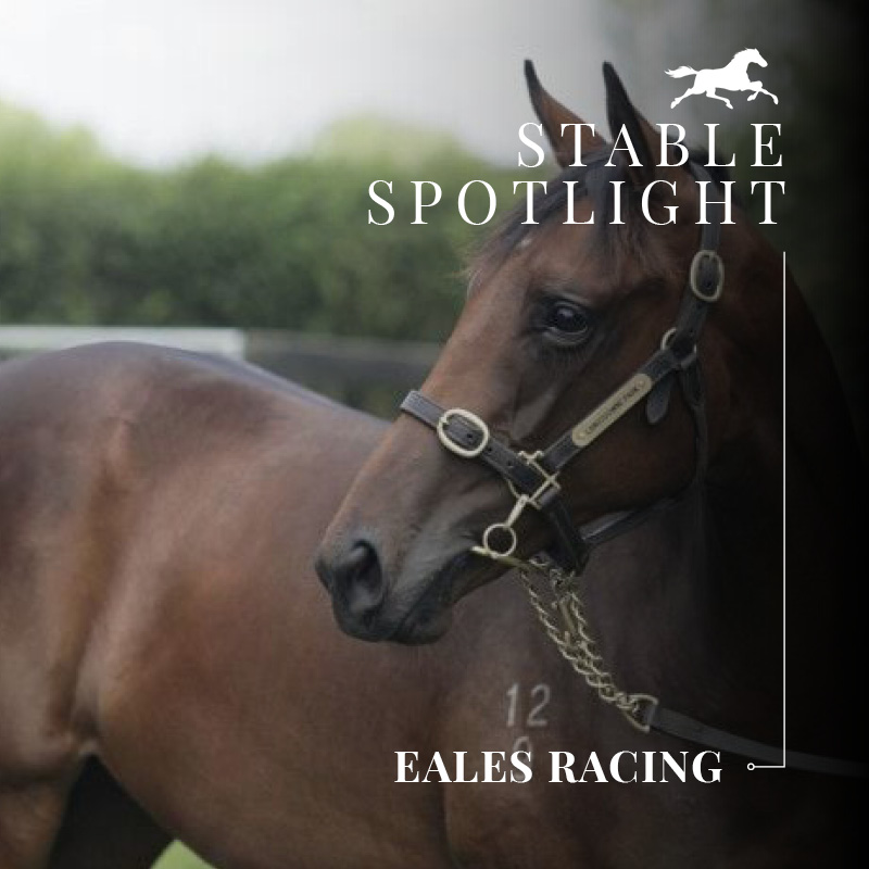 Stable Spotlight – Eales Racing