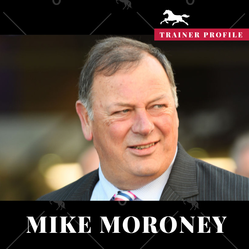 Trainer Profile – Michael Moroney