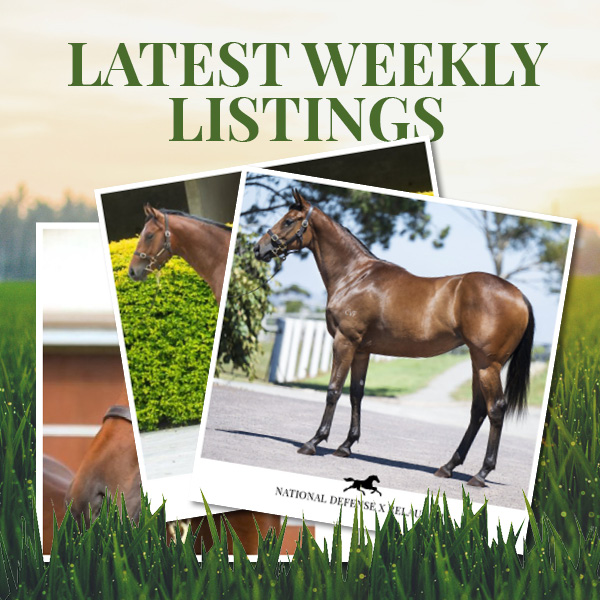 Latest Weekly Listings – National Defense, Invader and Written Tycoon
