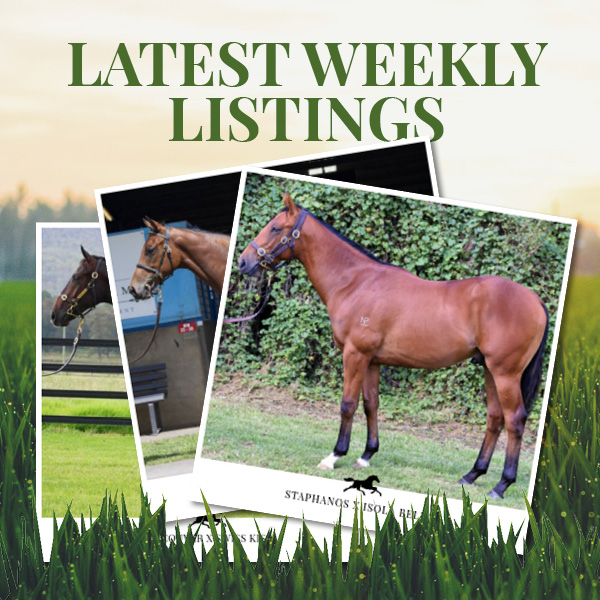 Latest Weekly Listings – Vancouver, Staphanos and Kermadec