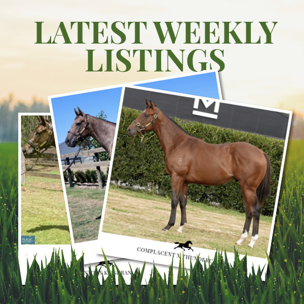 Latest Weekly Listings – Santos, Starspangledbanner and Complacent