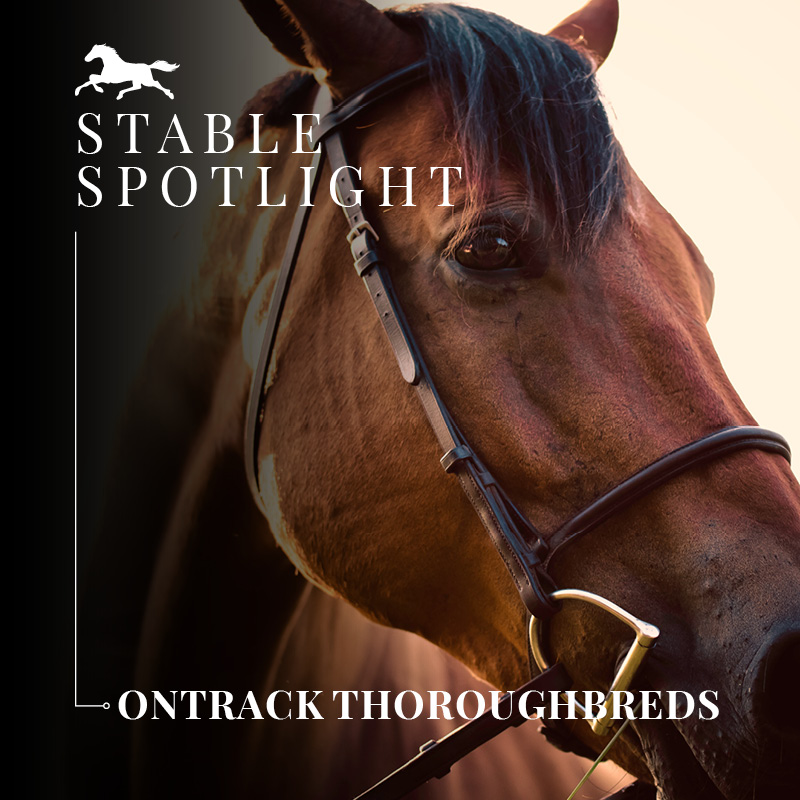 Stable Spotlight – Ontrack Thoroughbreds