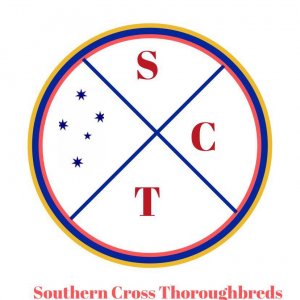 Southern Cross Thoroughbreds