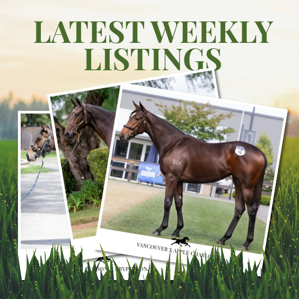 Latest Weekly Listings – Vancouver, Press Statement and Written Tycoon