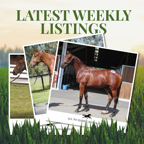 Latest Weekly Listings – Akeed Mofeed, Bull Point and All To Hard