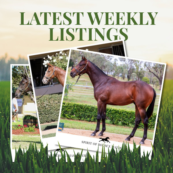Latest Weekly Listings – Shooting To Win, Spirit Of Boom and Vancouver