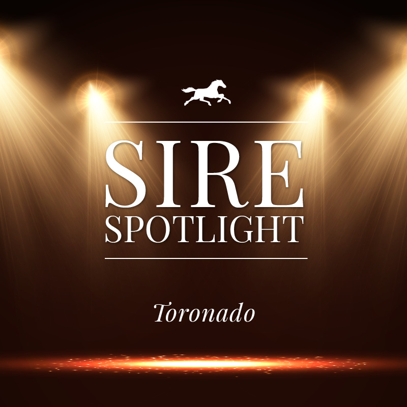 Sire Spotlight – Toronado