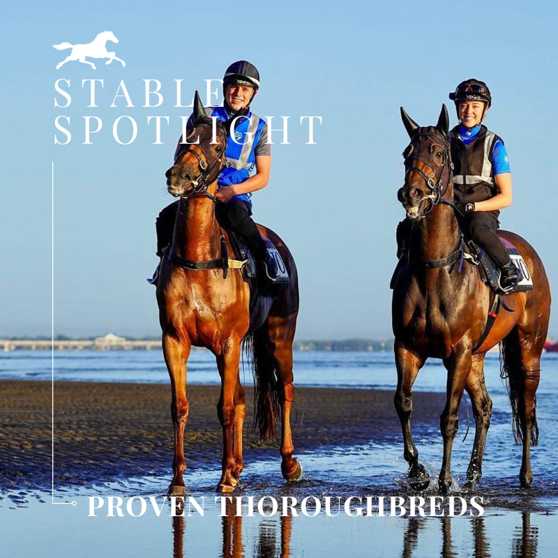 Stable Spotlight – Proven Thoroughbreds