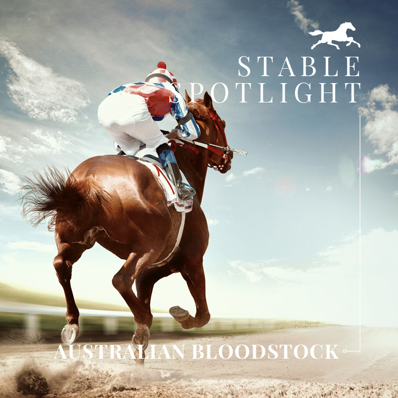 Stable Profile – Australian Bloodstock