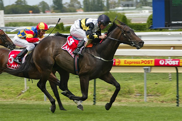 Stable Spotlight – Slade Bloodstock