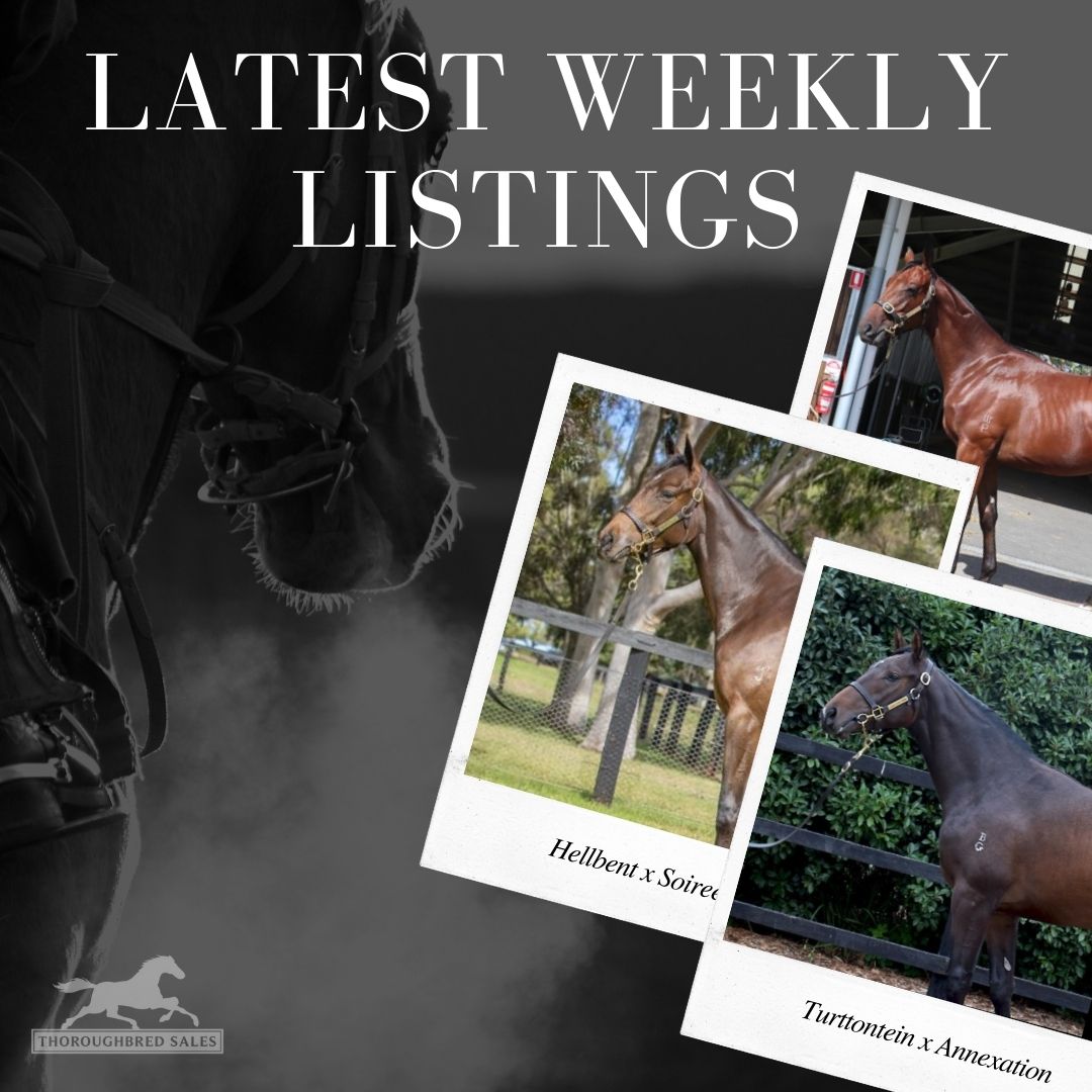 Latest Weekly Listings – All To Hard, Hellbent and Turffontein