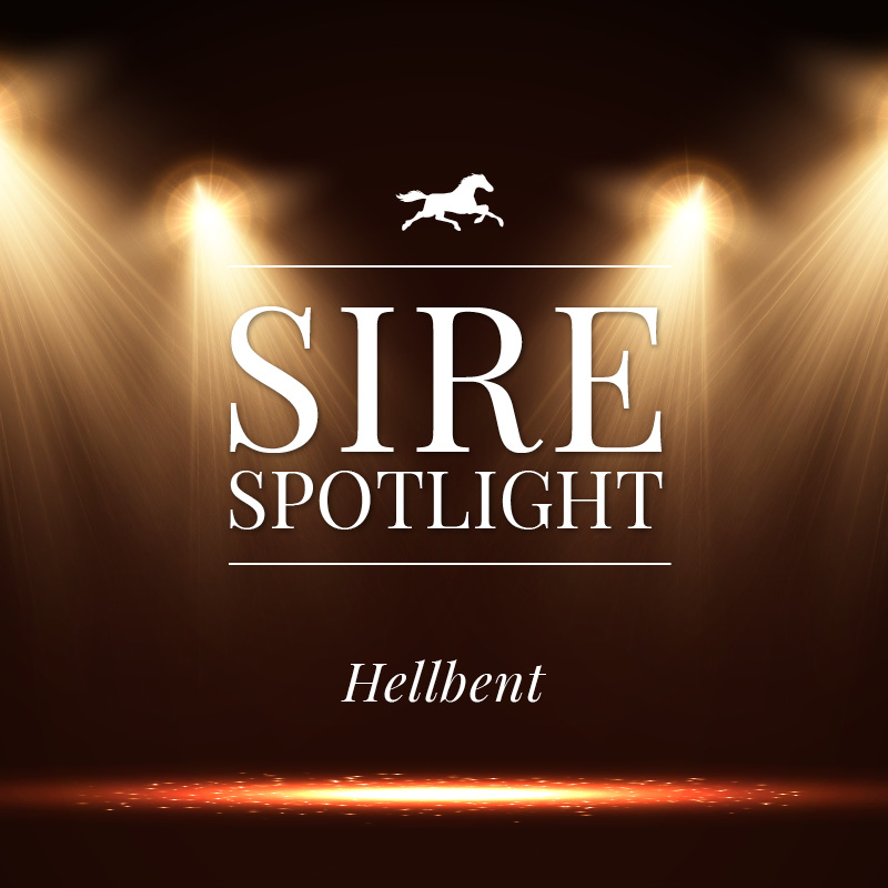 Sire Spotlight – Hellbent