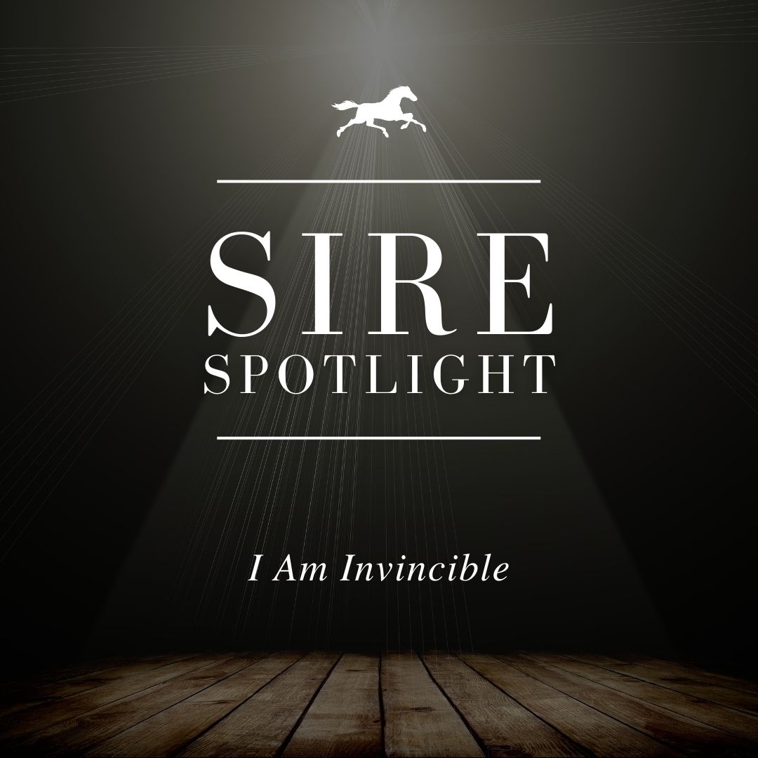 Sire Spotlight – I Am Invincible