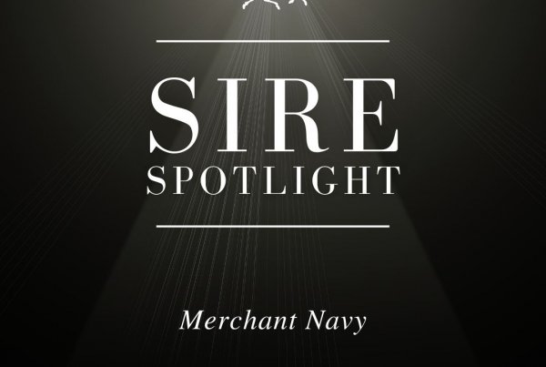 Sire Spotlight – Merchant Navy