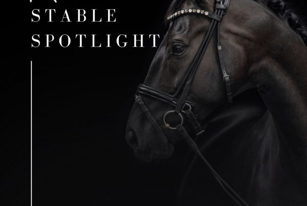 Stable Spotlight – Vardy Thoroughbreds