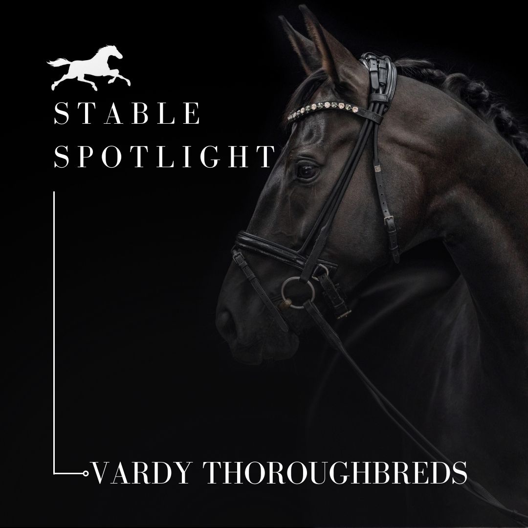 Stable Spotlight – Vardy Thoroughbreds