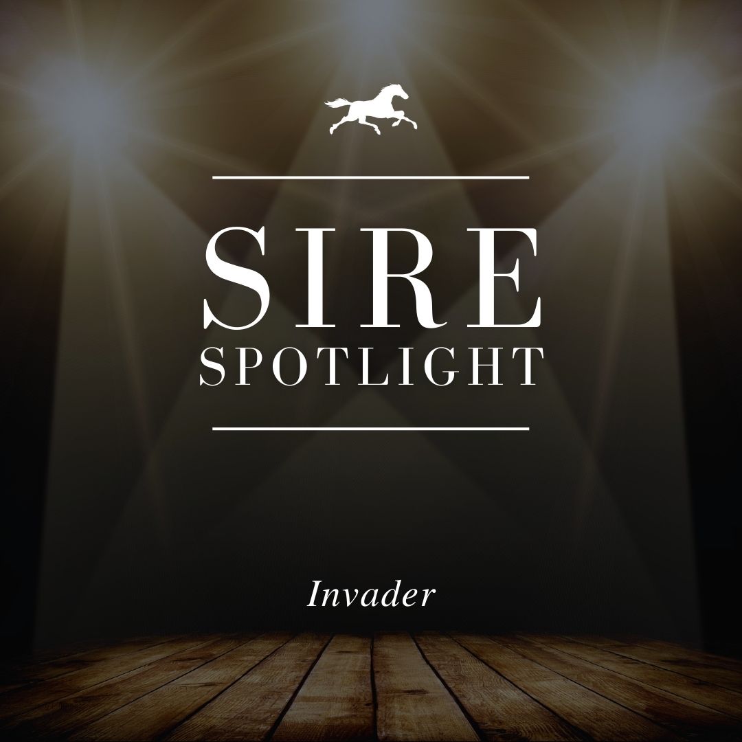 Sire Spotlight – Invader