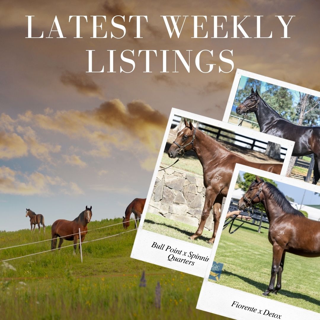 Latest Weekly Listings – Bull Point, Fiorente and Capitalist