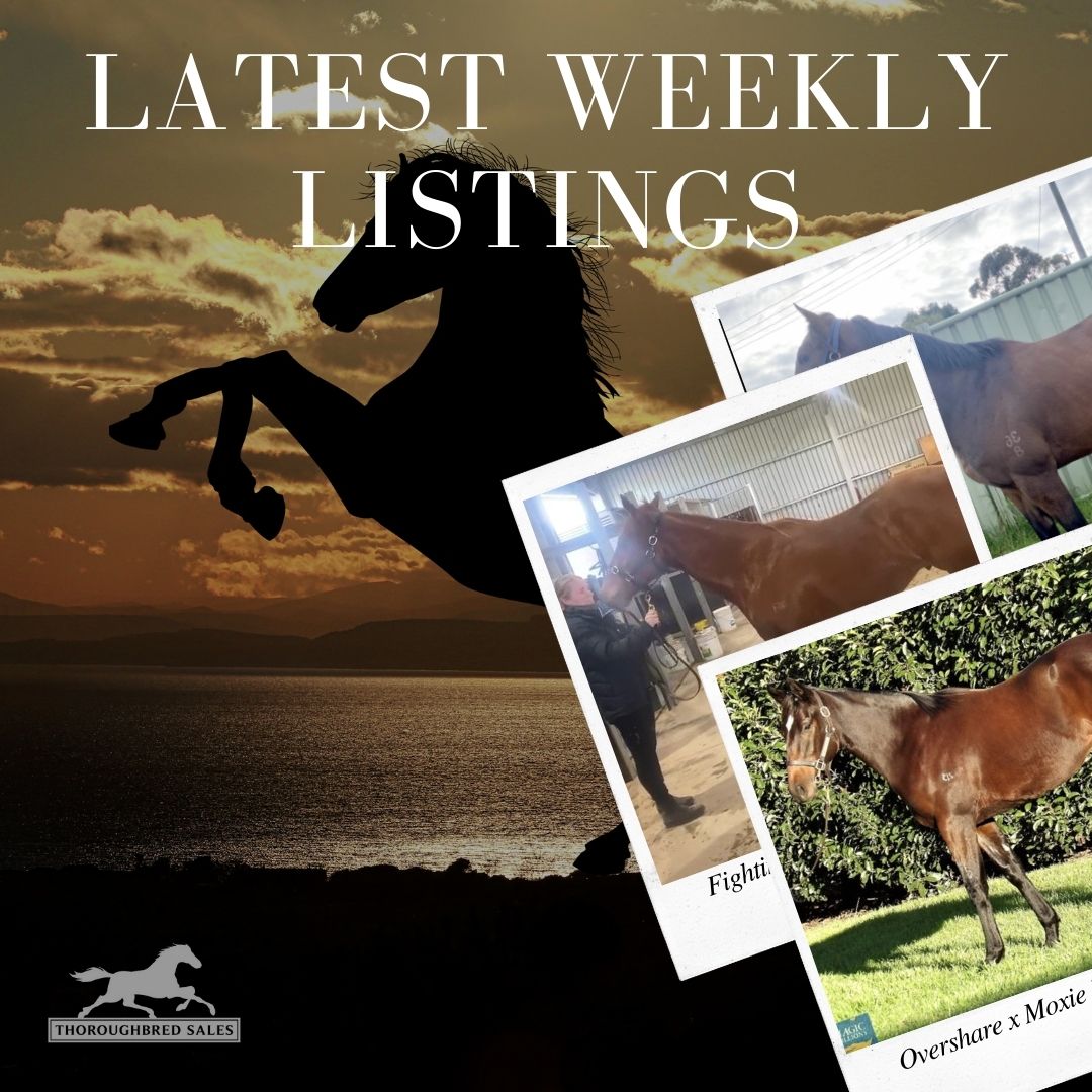 Latest Weekly Listings – Fighting Sun, Overshare and Contributer
