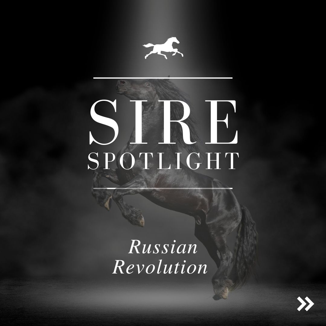 Sire Spotlight – Russian Revolution