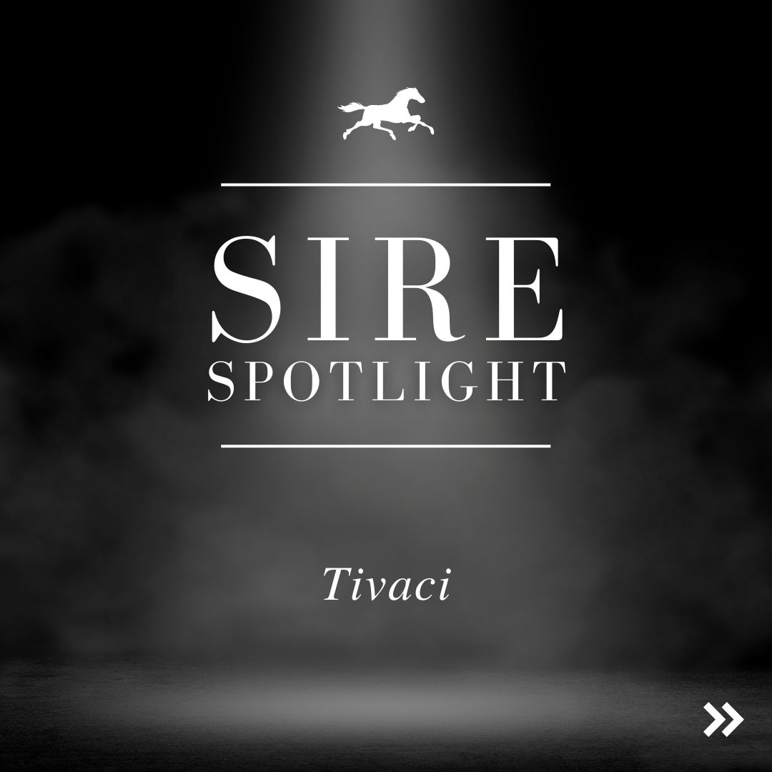 Sire Spotlight – Tivaci