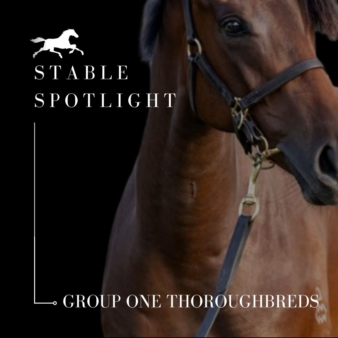 Stable Spotlight – Group One Thoroughbreds