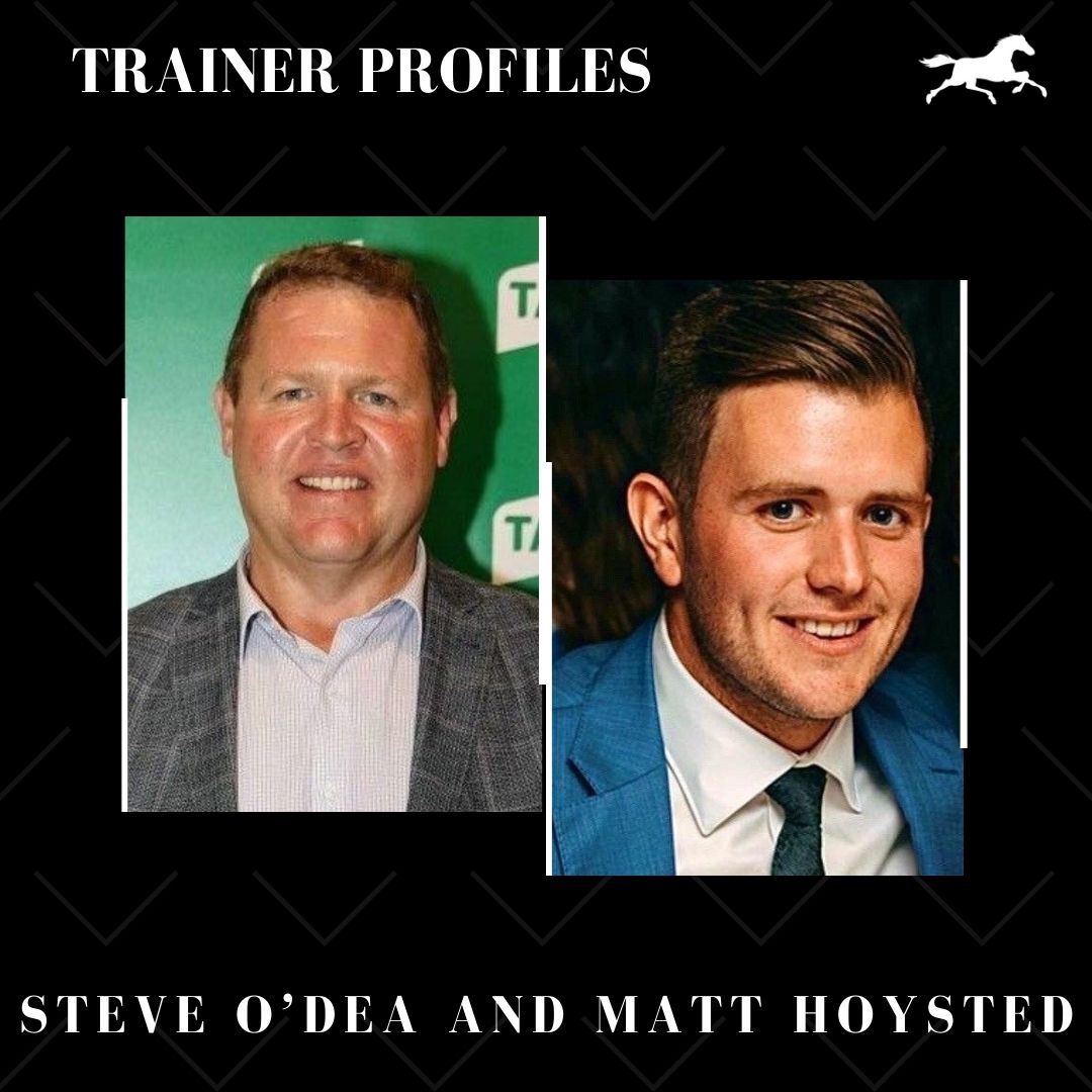 Trainer Profile – Steve O’dea and Matt Hoysted