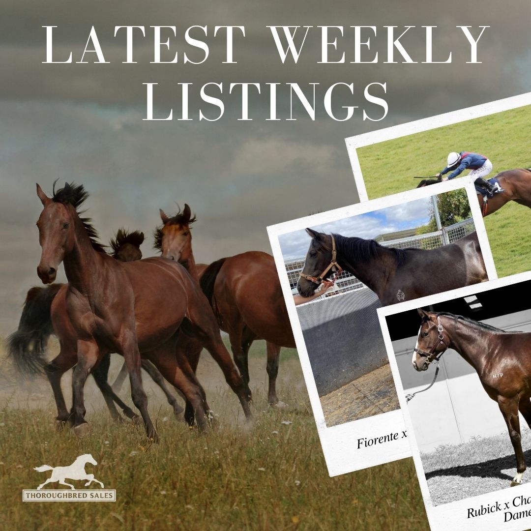 Latest Weekly Listings – Rubick, Fiorente and Cotai